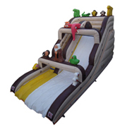 inflatable dry slide